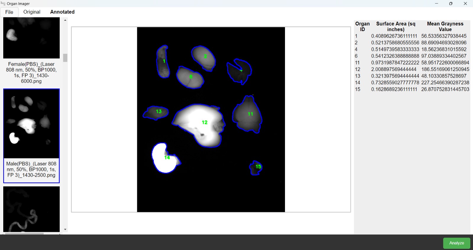 Black and White Contrast Segmenter - Optimize image contrast for precise data segmentation and analysis.